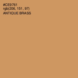 #CE9761 - Antique Brass Color Image